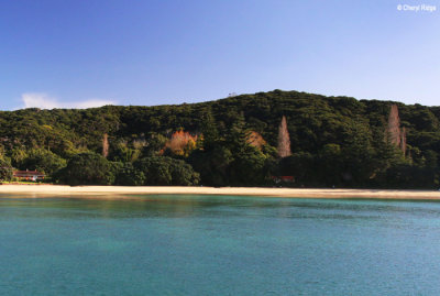 2515b-bay-of-islands.jpg