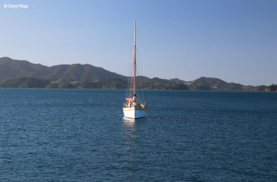 2521b-bay-of-islands.jpg