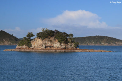 2529b-bay-of-islands.jpg