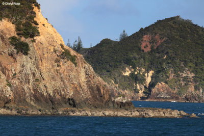 2540-bay-of-islands.jpg