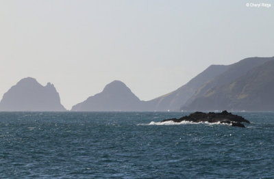 2551-bay-of-islands.jpg