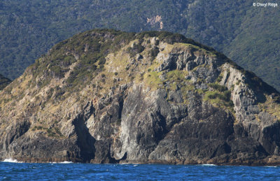2561-bay-of-islands.jpg