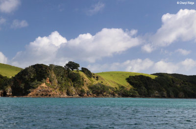 2592b-bay-of-islands.jpg
