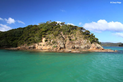 2606-urupukapuka.jpg