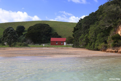 2618-urupukapuka.jpg