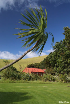 2640-urupukapuka.jpg