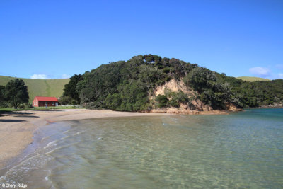 2660-urupukapuka.jpg