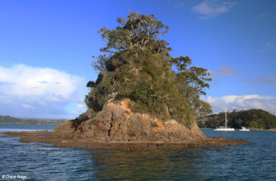 2723-bay-of-islands.jpg