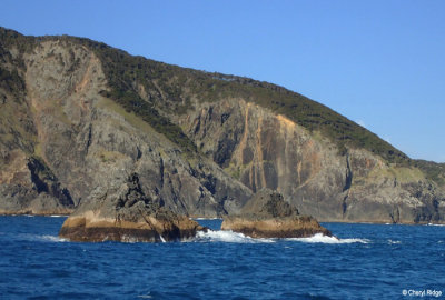 P5310113-bay-of-islands.jpg