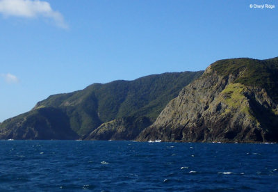 P5310118-bay-of-islands.jpg