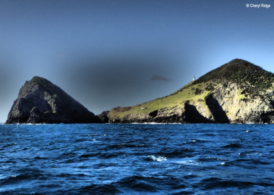 P5310127b-cape-brett.jpg