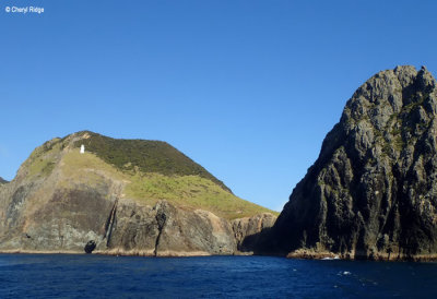 P5310137-cape-brett.jpg