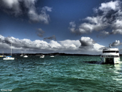 P5310192-bay-of-islands.jpg