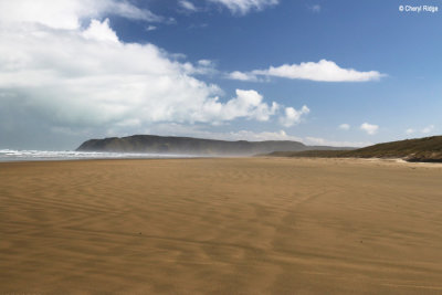 2258b-ninety-mile-beach.jpg