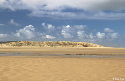 2273b-ninety-mile-beach.jpg