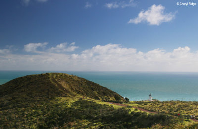 2320b-cape-reinga.jpg