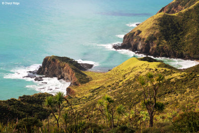 2327-cape-reinga.jpg