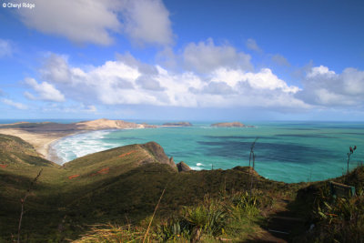 2343-cape-reinga.jpg
