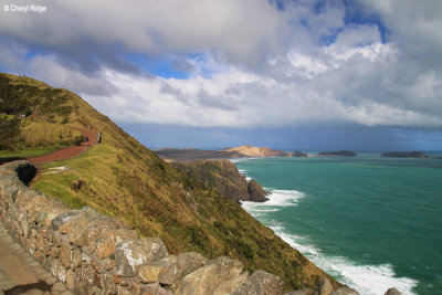 2354-cape-reinga.jpg