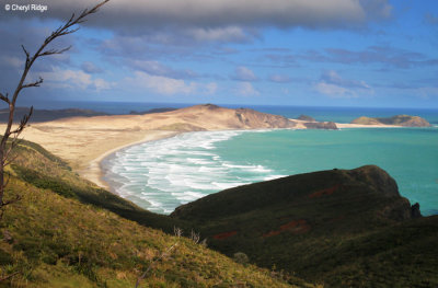 2366b-cape-reinga.jpg