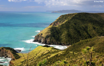 2371c-cape-reinga.jpg