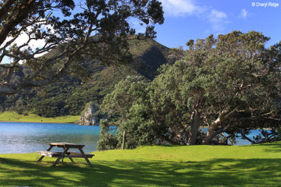 2382-houhora-heads.jpg