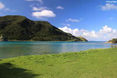 2388-houhora-heads.jpg