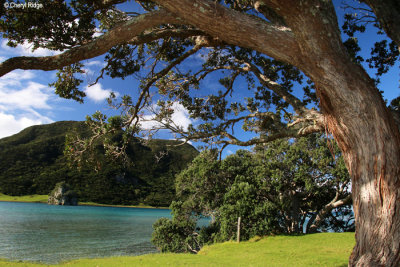 2393-houhora-heads.jpg