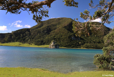 2398-houhora-heads.jpg
