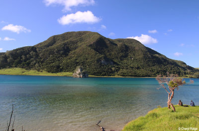 2402b-houhora-heads.jpg