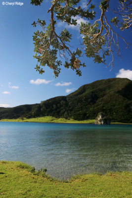 2410-houhora-heads.jpg