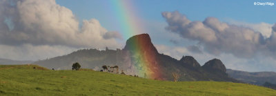 2443b_rainbow_sml.jpg