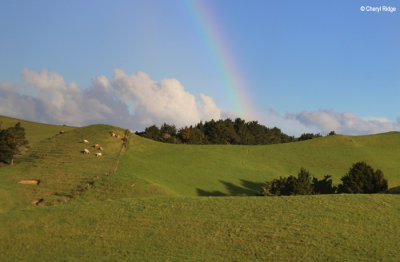 2447b-rainbow.jpg