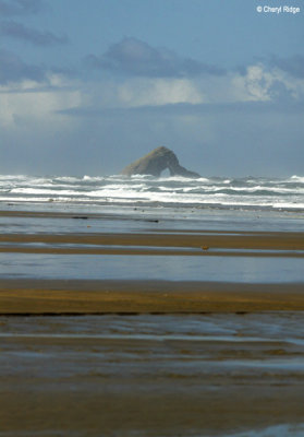 4014-ninety-mile-beach.jpg