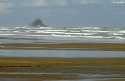 4016b-ninety-mile-beach.jpg