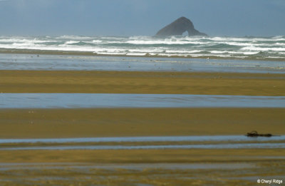 4018b-ninety-mile-beach.jpg