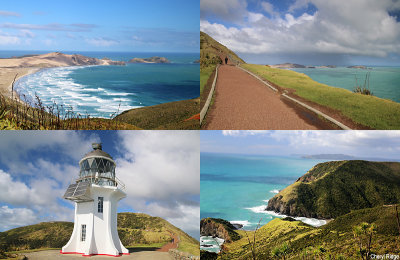 cape-reinga.jpg
