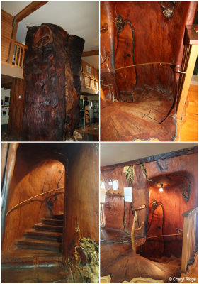 kauri-staircase2.jpg