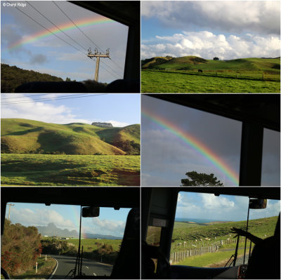 northland-bus-tour2.jpg
