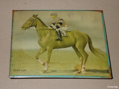 Vintage picture of Phar Lap mounted in tin frame