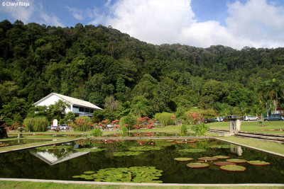 0281-penang-botanic-garden.jpg