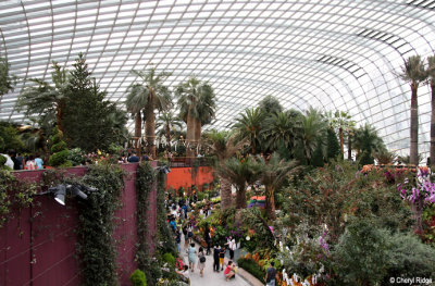0586-flower-dome.jpg