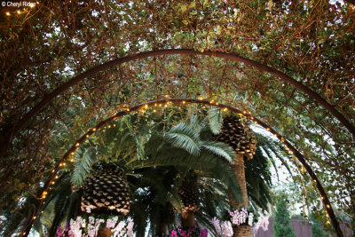 0607-flower-dome.jpg