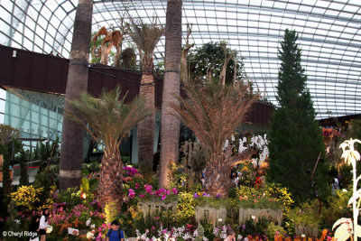0617-flower-dome.jpg