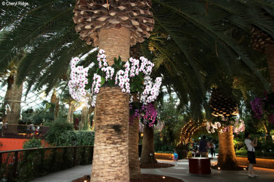 0620-flower-dome.jpg