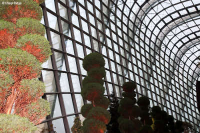 0627-flower-dome.jpg