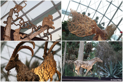 flower-dome-animals.jpg