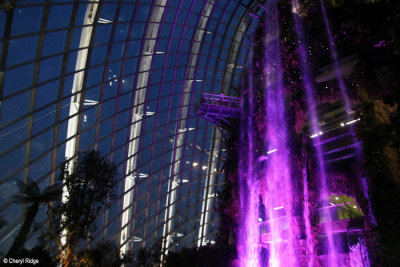 0665-cloud-forest.jpg