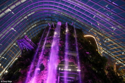 0675-cloud-forest.jpg