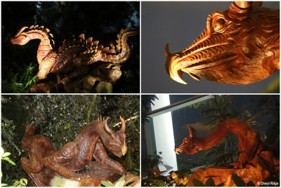 cloud-forest-various3.jpg
